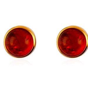 NWT, Natural Baltic Amber & 14k Earrings